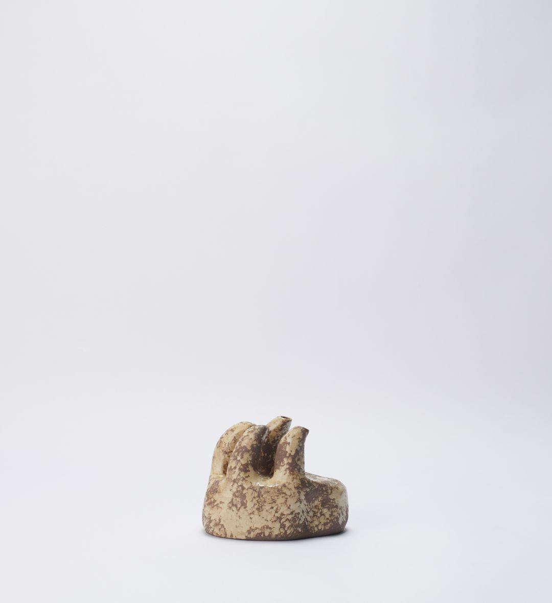 Vaso Fossilizado 06