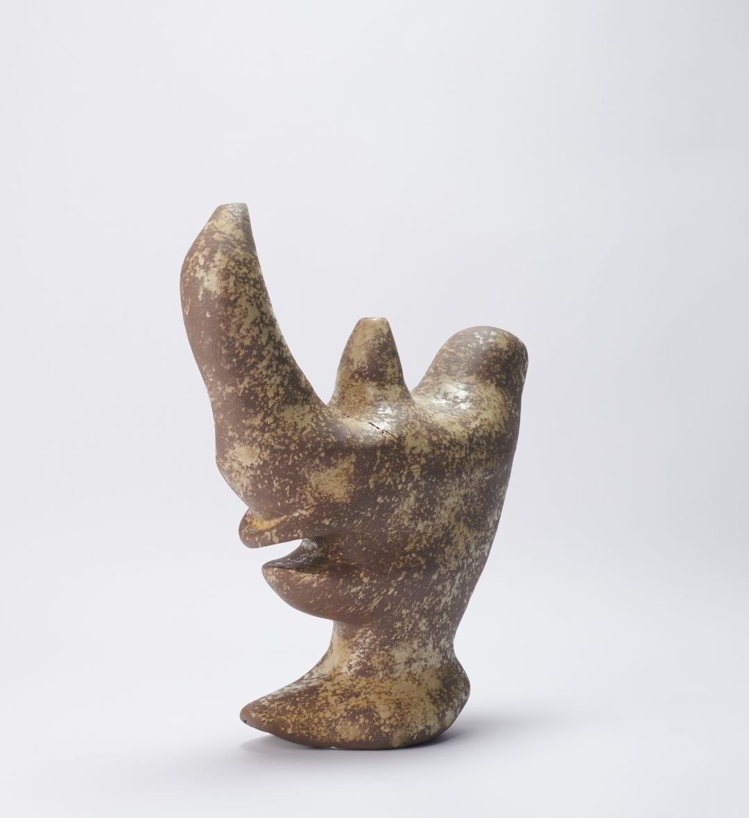 Vaso Fossilizado 04