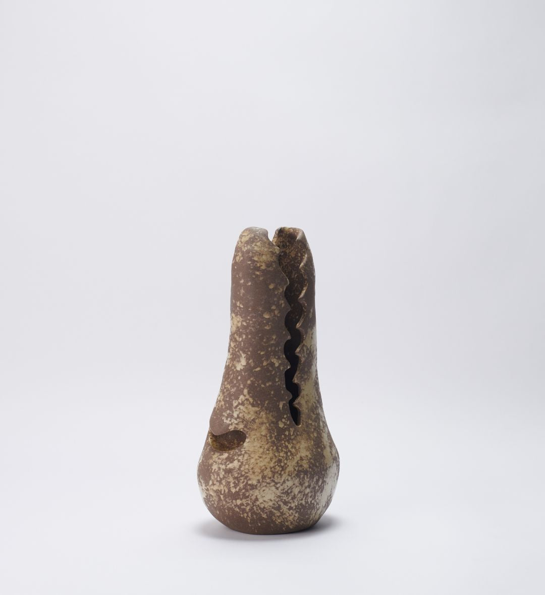 Vaso Fossilizado 03