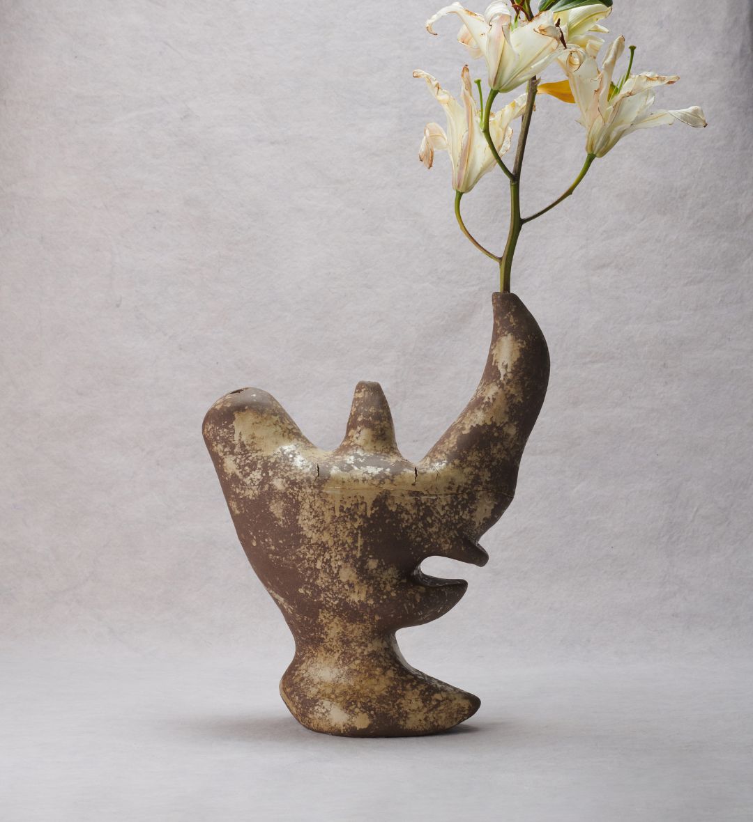 Vaso Fossilizado 04