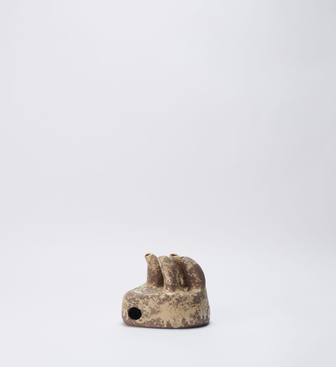 Vaso Fossilizado 06