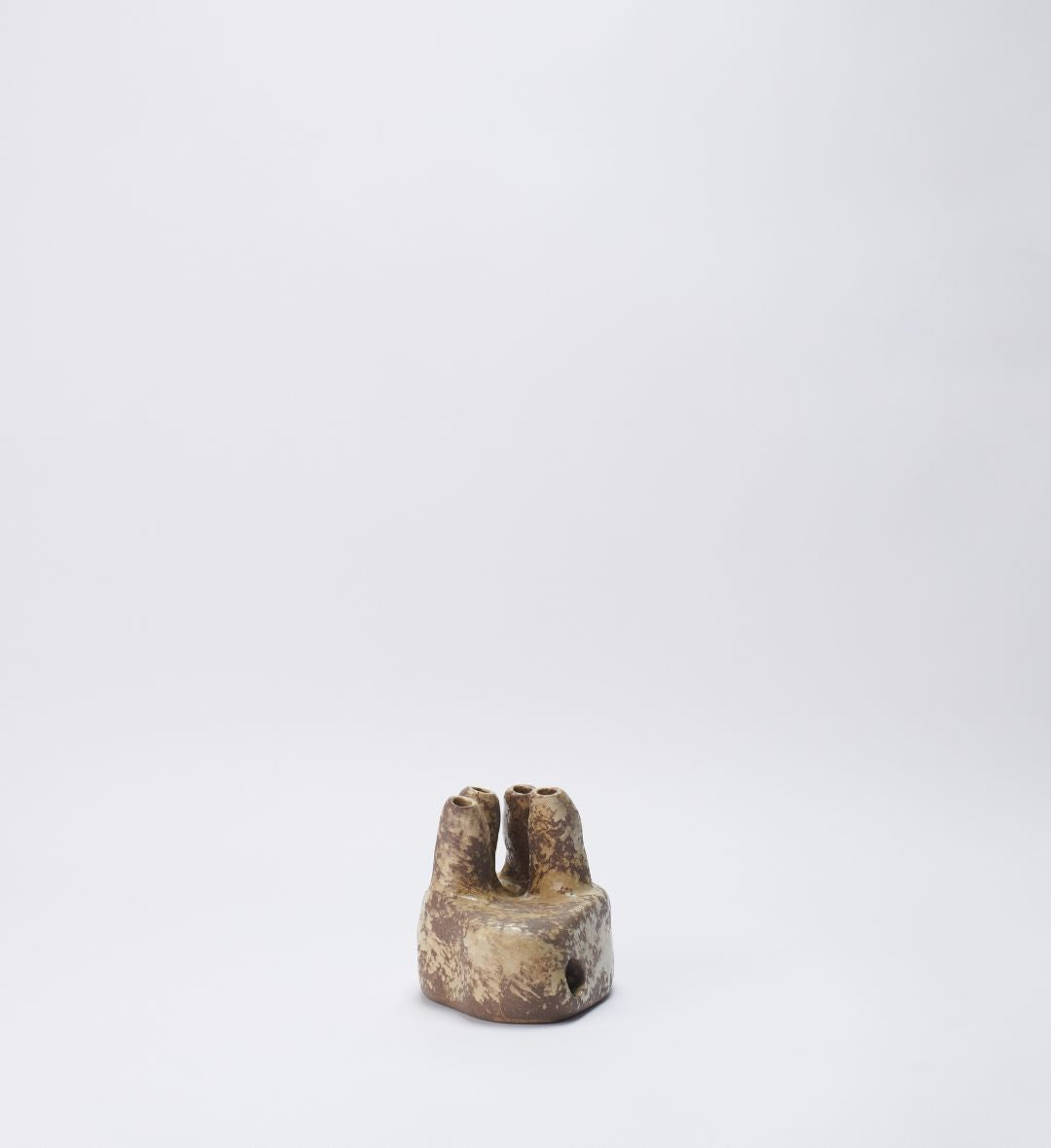 Vaso Fossilizado 06