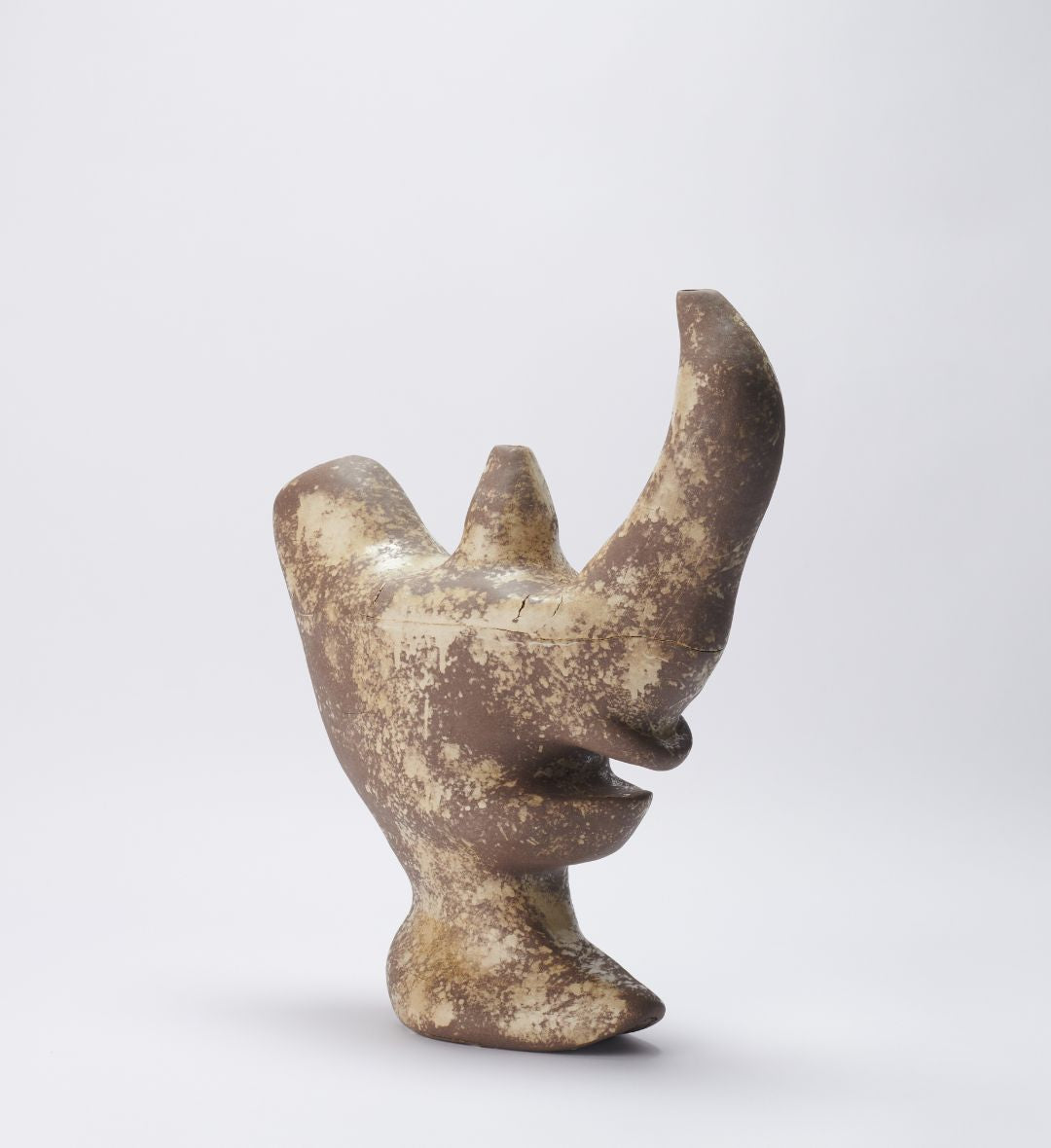 Vaso Fossilizado 04