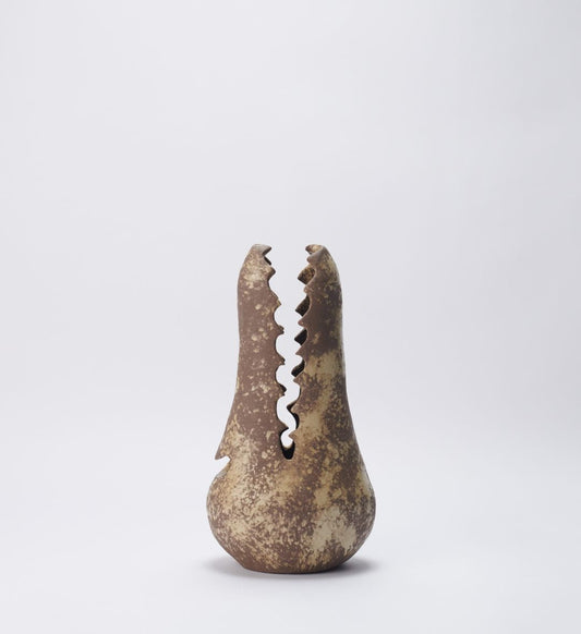 Vaso Fossilizado 03