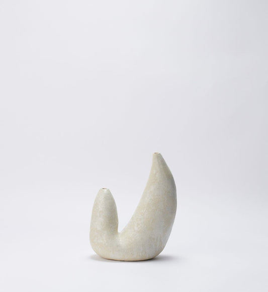 Vaso Fossilizado 02