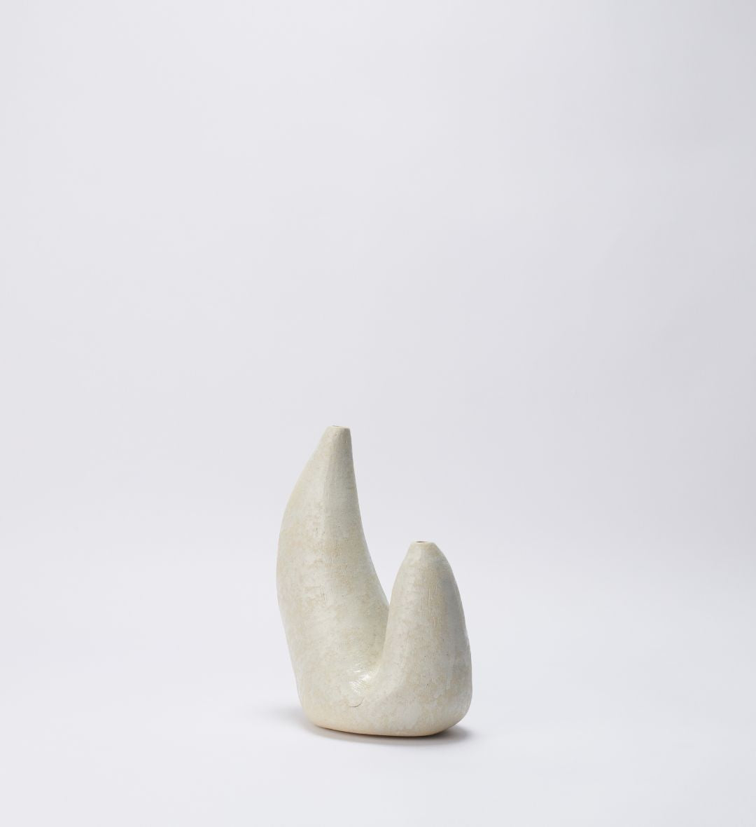 Vaso Fossilizado 02