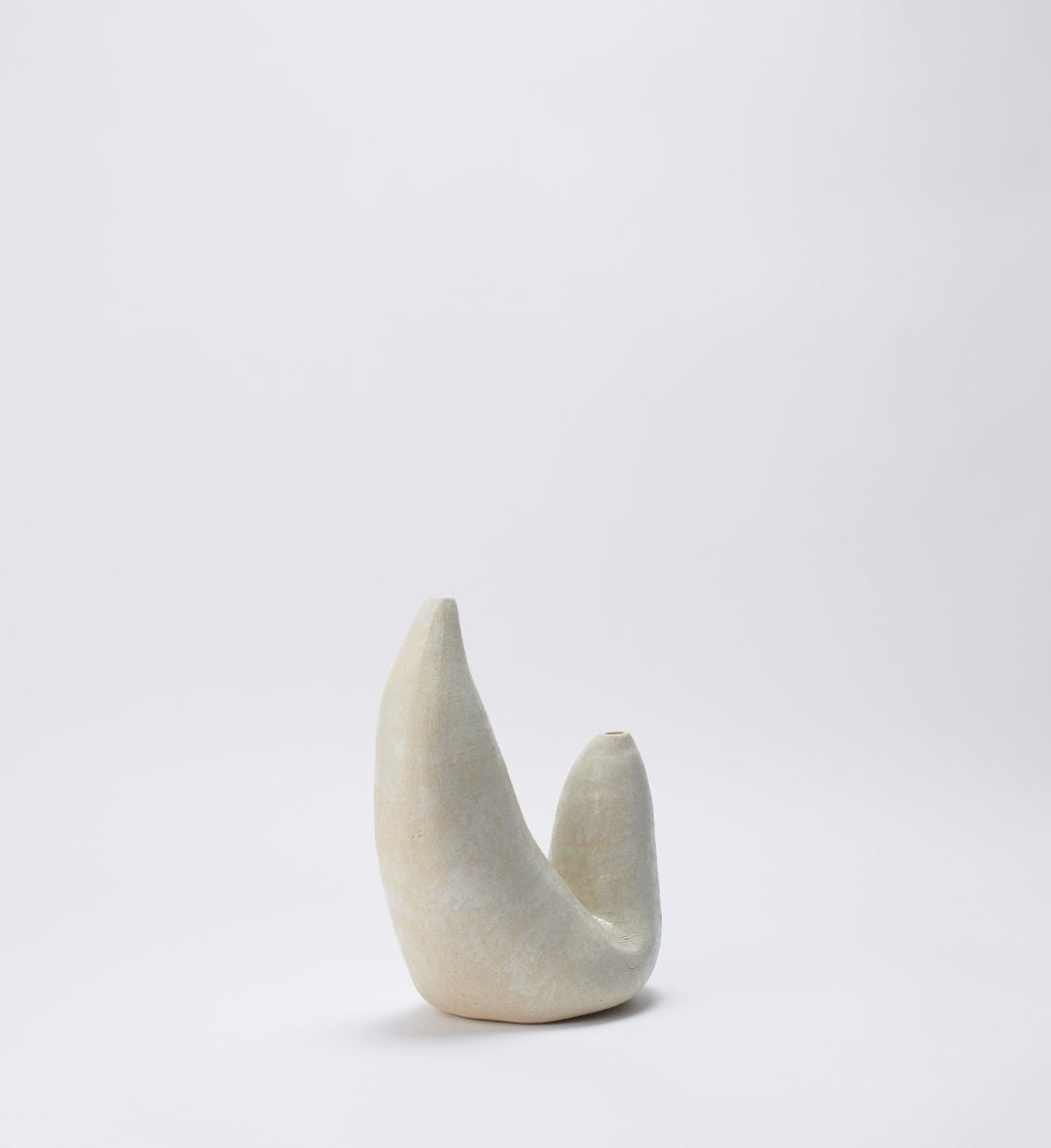 Vaso Fossilizado 02